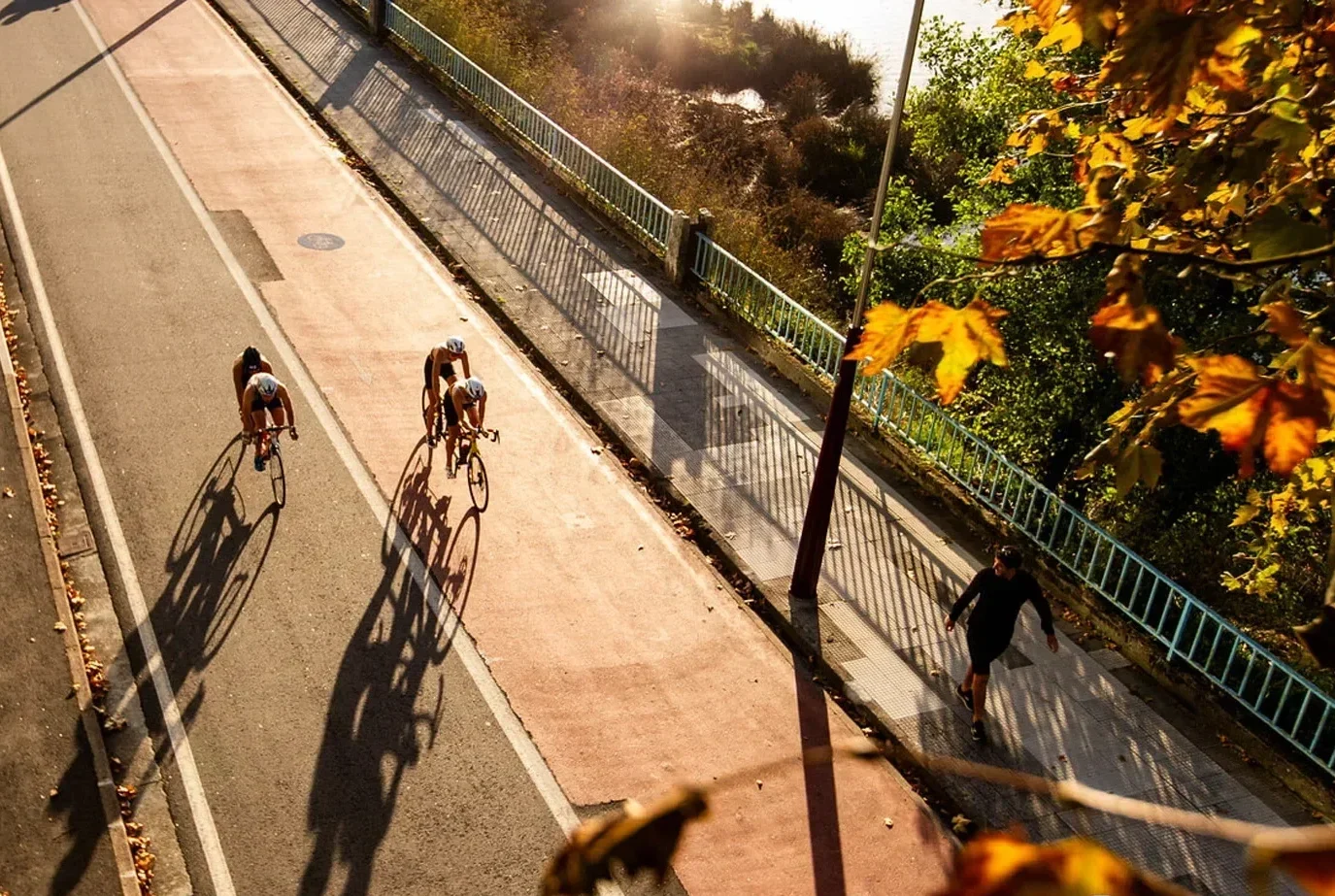 Anja Renner Para-Triathletin Fahrrad